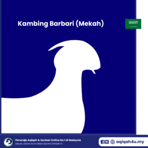 Korban Kambing Barbari (Mekah)